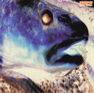 Rotor (GER) : The Stillborn - Rotor